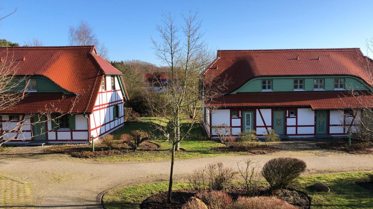 Feriendorf Rugana Insel Ruegen Fewos Vogelgesang Dranske Exteriér fotografie